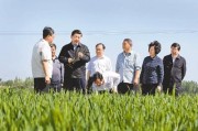 天津生态城最新新闻：总书记考察地发展喜人，村民年入12万
