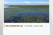 大通湖生态公园今昔：从水质恶化到重焕生机的蜕变之旅