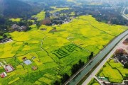 2026成都村糖会开幕，三大主题12条休闲农业游玩线路