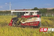 自动捡拾秸秆打包机：稻草变饲料，无烟秋收新神器