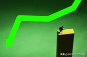 个股分析模板：主力出逃致股价下跌4.46%