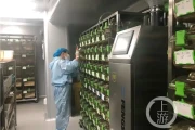 小白鼠繁殖几代才能做实验？答案来了