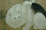纯黑猫寓意：古人叫它四时好与乌云盖雪