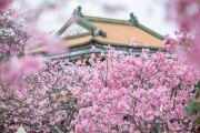 广州乡村游火爆：554万游客占近半，生态文旅怎么抓机遇？