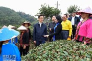 经济发展与生态环境如何双赢？海南这样做