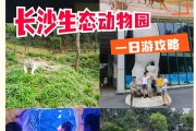 六一长沙生态动物园游玩攻略，含车行区极地馆等详情