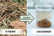 竹废料变生物质碳，吸附污水效果强