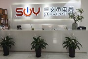 徐州企业淘宝代运营：专业团队帮你解决流量低、转化差难题