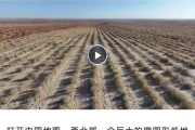 深度报道如何在新媒体时代破圈？三大创新路径揭秘