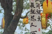 逃离内卷！95后女生回泸州开农家乐，月入过万成顶流