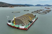 海洋牧场养出高价大黄鱼，深海养鱼更赚钱