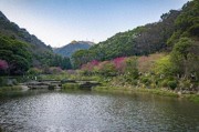 福州生态公园有哪些？本地人私藏榜单，遛娃洗肺首选