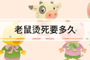 开水烫老鼠，一分钟就死？比喝水死更快