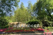 杭州西溪湿地20年：从臭水塘变金镶玉