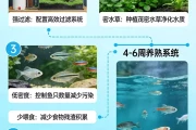 生态鱼缸养鱼：半个月不换水还能清澈透亮？5步实现自净