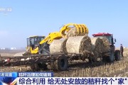 玉米秸秆利用：科学还田赚钱，离田变现增收