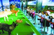 带孩子看武汉科技馆新馆野生动物标本展，现场图片抢先看