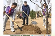 优秀少先队员事迹200字 范文模板