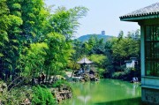 鼋头渚冬季游玩攻略：红嘴鸥+船菜，坐观光车赏红枫