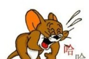 中国阅兵解说词：阅兵式检阅仪式介绍