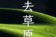 中国草原资源丰富多样，伊犁草原获评‘中国最美六大草原’第2名
