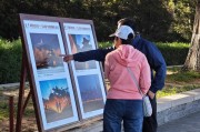 颐和园三山五园摄影展 看老照片感受历史变迁