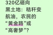 玉米秸秆变飞机燃油，农民增收新门路
