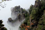 神农架必去景点推荐：神农顶+大九湖，新手必看