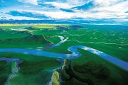 保护草原生态系统，守住我国最大绿色家底