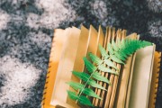 乡镇群众文化活动记录：年度总结范文与工作亮点