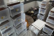 不花钱自制收纳鞋子好方法图片，旧物改造超实用