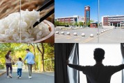 埃里克森心理社会发展理论：八阶段受文化影响及主要事件
