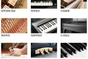 电钢琴和钢琴有啥区别？成都钢琴调律维修必看