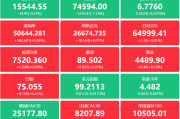 长鑫科技IPO过会，295亿募资能否撑起A股新龙头？