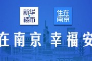 南京青龙山国际生态新城，开发商和政府一起建