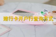 网上查询开户行攻略：建行卡开户行在哪查