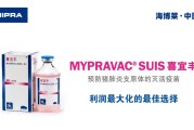 黑猪怎么养才好吃？丰宁黑猪养殖技术要点