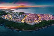 海上森林：守护海岸的地球之肾