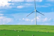 草原生态保护：守护呼伦贝尔与那拉提的美丽家园