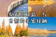 东滩三日游攻略，带你畅享与自然亲密接触的美好时光