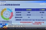 中科院用二氧化碳和氢气造出淀粉，生物碳粉技术有望突破