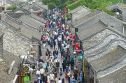 沈阳动物园门票团购价，五一省钱游看动物