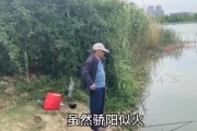 淮南公园变钓场，几十人无视禁钓牌