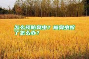 被臭虫咬后多久有反应？痛痒红肿要留意