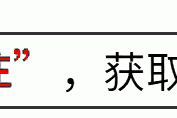 台儿庄大捷：李宗仁如何调动杂牌军打出血战