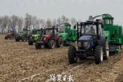 玉米秸秆巧利用：从田间包袱变绿色财富