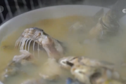 东平湖鲤正肥美，早春尝鲜别错过
