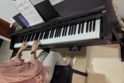 电钢琴和钢琴区别大吗？新手选购5大要点