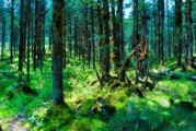 武汉胜天生态农庄春游烧烤攻略，户外玩乐好去处