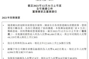 国美加速建平台，商家入驻能赚更多？